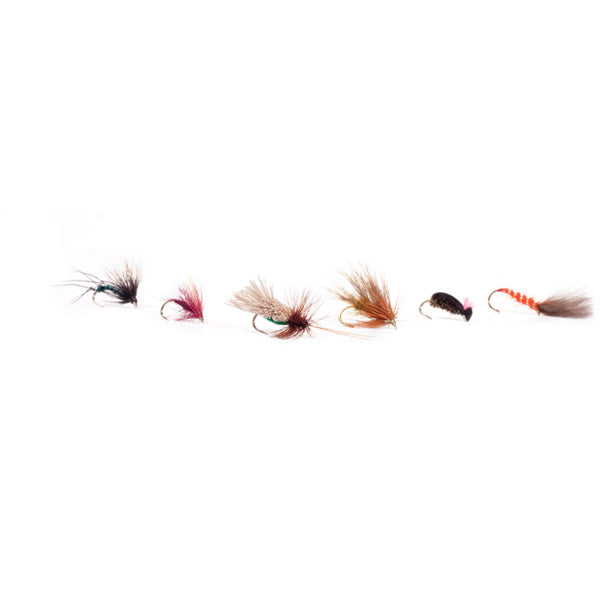 Craig Barr Craig's Dry Fly Selection Bait & Lures - Pack Of 6